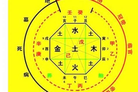 八字喜用色|八字喜用神是什么意思，喜用神与颜色